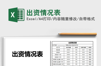 2025年出资情况表