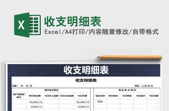 2025年收支明细表