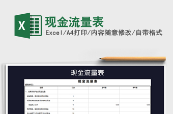 2025年现金流量表