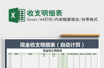 2025年收支明细表