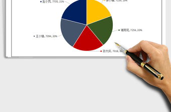 2025年销售数据分析饼图
