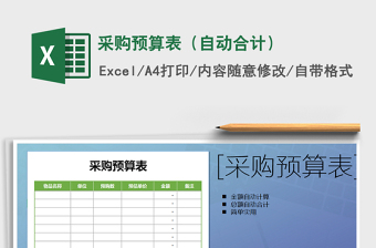 2025年采购预算表（自动合计）