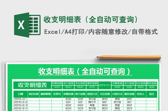 2025年收支明细表（全自动可查询）