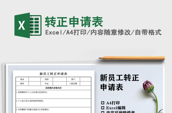 2025年转正申请表