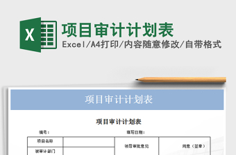 2025年项目审计计划表