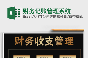 2025年财务记账管理系统