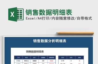 销售数据明细表
