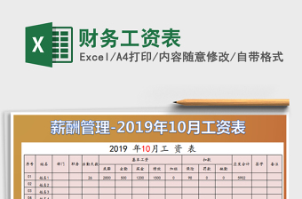 2025年财务工资表