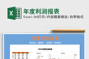 2025年年度利润报表