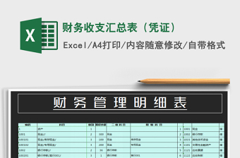 2025年财务收支汇总表（凭证）