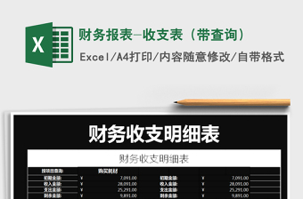 2025年财务报表-收支表（带查询）