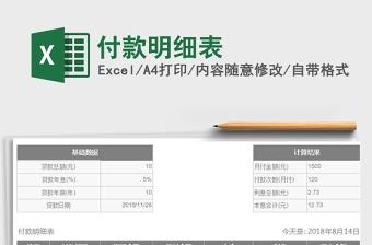 2025年付款明细表