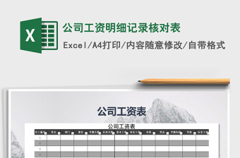 2025年公司工资明细记录核对表