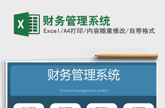 2024年财务管理系统