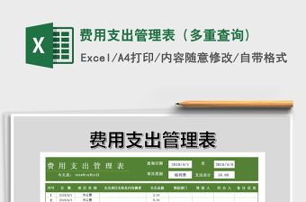 2025年费用支出管理表（多重查询)