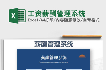 2025年工资薪酬管理系统