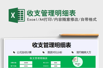 收支管理明细表