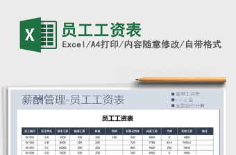 2025年员工工资表