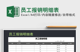 2025年员工报销明细表