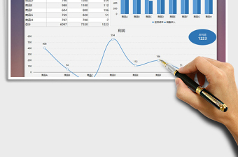 2025年商品销售利润表