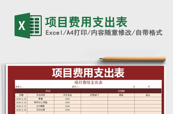 2025年项目费用支出表