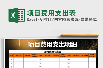 2025年项目费用支出表