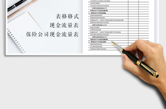 2025年保险公司现金流量表