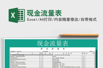 2024年现金流量表