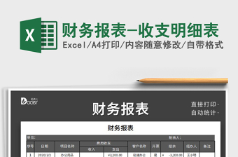 2025年财务报表-收支明细表