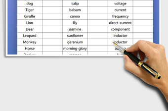 2025年英语单词表