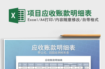 2025年项目应收账款明细表