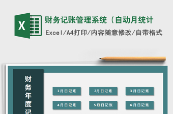 2024年财务记账管理系统（自动月统计