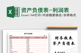 2025年资产负债表-利润表