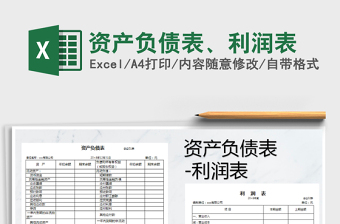 2025年资产负债表、利润表