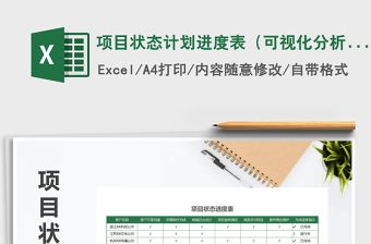 2025年项目状态计划进度表（可视化分析）