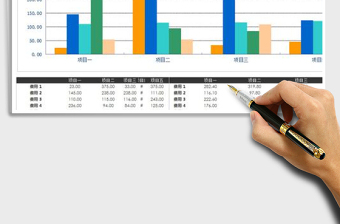 2025年项目各项费用比较表