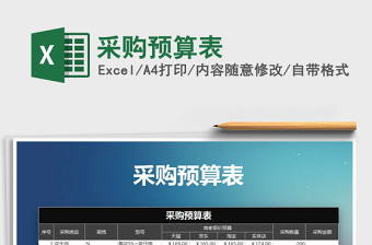 2025年采购预算表