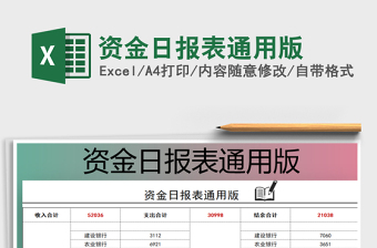 2025年资金日报表通用版