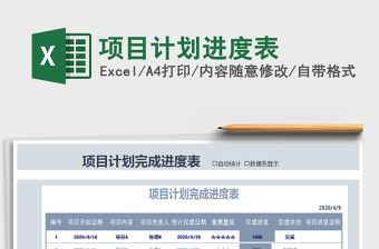 2025年项目计划进度表