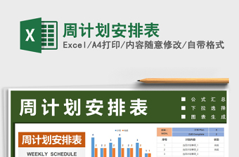 2025年周计划安排表