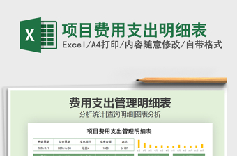 2025年项目费用支出明细表