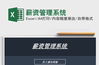 2025年薪资管理系统