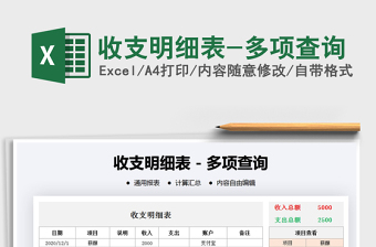 2024年收支明细表-多项查询