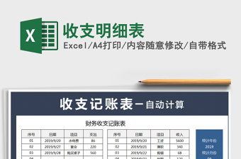 2025年收支明细表