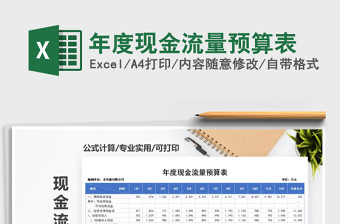 2025年年度现金流量预算表