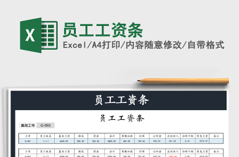 2025年员工工资条