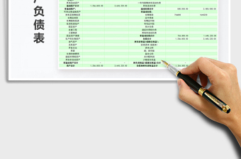 2025年单位资产负债表