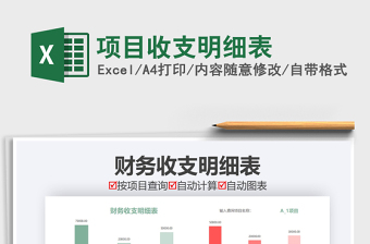 2025年项目收支明细表