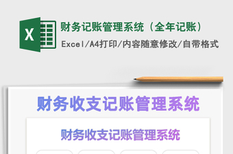 2025年财务记账管理系统（全年记账）