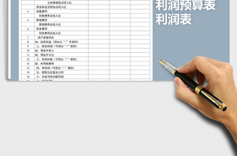 2025年利润预算表